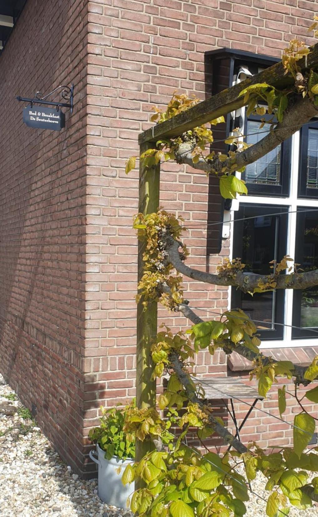 De Seuterhoeve 'S-Gravendeel エクステリア 写真